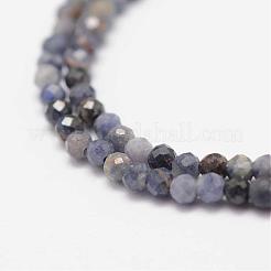 Natural Sapphire Gemstone Beads Strands&nbsp;G-K182-2mm-22A