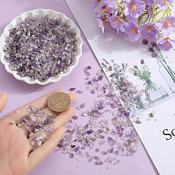 500G Natural Amethyst Chip Beads&nbsp;G-SP0001-10