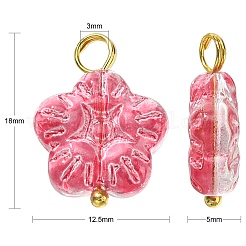 30Pcs 5 Colors Handmade Lampwork Charms&nbsp;PALLOY-CJ0002-66