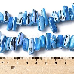 Dyed Natural Trochus Shell Beads Strands&nbsp;SSHEL-C013-09F