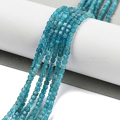 Natural Blue Apatit Beads Strands&nbsp;G-H042-B12-01B