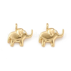 Eco-Friendly Brass Micro Pave Cubic Zirconia Pendants&nbsp;KK-I698-16G