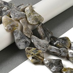Natural Bamboo Leaf Agate Beads Strands&nbsp;G-NH0014-F01-01