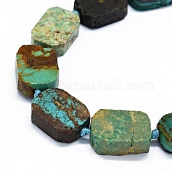 Natural Turquoise Beads Strands&nbsp;G-F725-10
