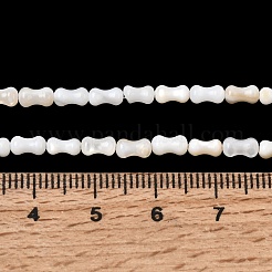 Natural Freshwater Shell Beads Strands&nbsp;SHEL-A006-04A