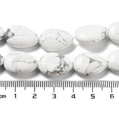Natural Howlite Beads Strands&nbsp;G-P528-L16-01