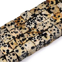 Natural Dalmatian Jasper Beads Strands&nbsp;G-T139-8x8-17A