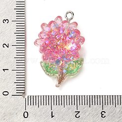Resin Pendants&nbsp;LS-RESI-Q012-02B