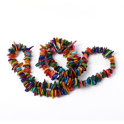 Natural Shell Chip Beads Strands&nbsp;SHZM007