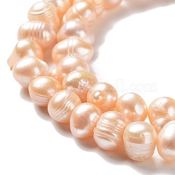 Natural Cultured Freshwater Pearl Beads Strands&nbsp;PEAR-E018-76