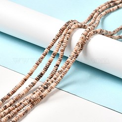 Natural Fossil Beads Strands&nbsp;G-I339-06