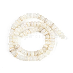Natural Freshwater Shell  Beads Strands&nbsp;BSHE-H109-07