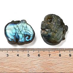Natural Labradorite Carved Cabochons&nbsp;G-C152-11