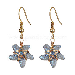 5 Pairs 5 Color Lampwork Starfish Dangle Earrings&nbsp;EJEW-JE05443-S