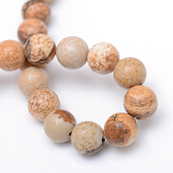 Round Natural Picture Jasper Bead Strands&nbsp;G-R345-8mm-19