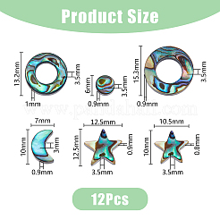 12Pcs 6 Styles Natural Abalone Shell/Paua Shell Beads&nbsp;SSHEL-DC0001-01
