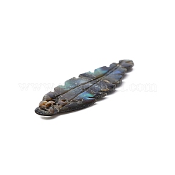 Natural Paua Shell Pendants&nbsp;SSHEL-WH0003-02