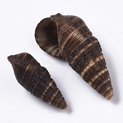 Natural Spiral Shell Beads&nbsp;SSHEL-S258-92