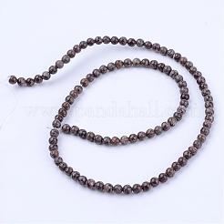 Natural Snowflake Obsidian Beads Strands&nbsp;G-Q462-6mm-37