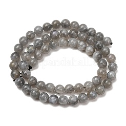 Natural Labradorite Beads Strands&nbsp;G-H326-01-6MM-1
