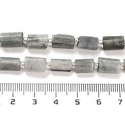 Natural Eagle Eye Stone Beads Strands&nbsp;G-G068-A24-01
