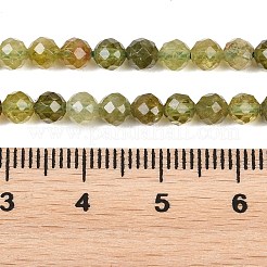 Natural Green Garnet Beads Strands&nbsp;G-B181-A01-4mm