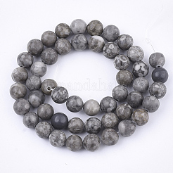 Natural Maifanite/Maifan Stone Beads Strands&nbsp;X-G-Q462-8mm-21