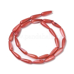 Natural Freshwater Shell Beads Strands&nbsp;SHEL-A004-03F
