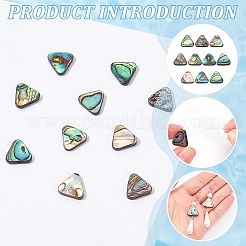 10Pcs Natural Abalone Shell/Paua Shell Beads&nbsp;SSHEL-BC0001-29