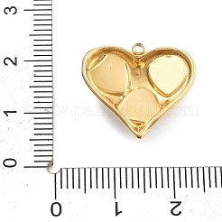 304 Stainless Steel Pendants&nbsp;STAS-R155-029G