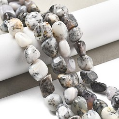 Natural White Opal Beads Strands&nbsp;G-C179-F02-01