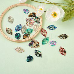 22Pcs 11 Style Cellulose Acetate(Resin) Pendants&nbsp;KY-BT0001-04