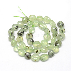 Natural Prehnite Beads Strands&nbsp;X-G-R445-8x10-25