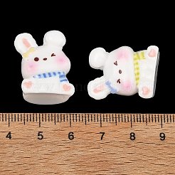 Opaque Resin Cabochons&nbsp;RE-C001-02