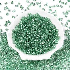 Baking Paint Transparent Glass Seed Beads&nbsp;SEED-N006-05J