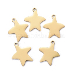 304 Stainless Steel Pendants&nbsp;STAS-I140-13G