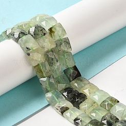 Natural Prehnite Beads Strands&nbsp;G-C109-A05-01