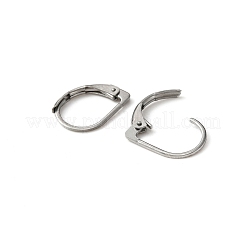 316 Surgical Stainless Steel Leverback Earring Findings&nbsp;STAS-WH0022-67
