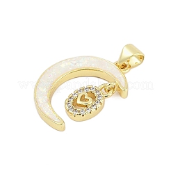 Brass Micro Pave Cubic Zirconia Pendants&nbsp;KK-I723-19G-03