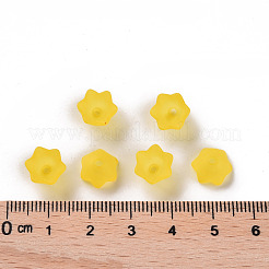 Transparent Acrylic Beads Caps&nbsp;PL543-2