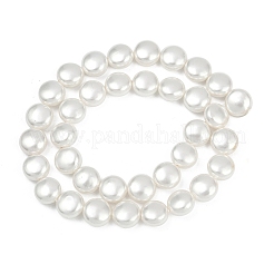 Electroplated Shell Pearl Beads Strands&nbsp;BSHE-G027-13A