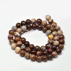 Natural Petrified Wood Round Bead Strands&nbsp;G-F266-08-6mm