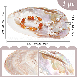 Natural Shell Ring Holder&nbsp;DJEW-WH0001-36