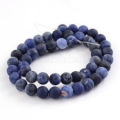 Frosted Natural Sodalite Round Bead Strands&nbsp;G-F231-01-10mm