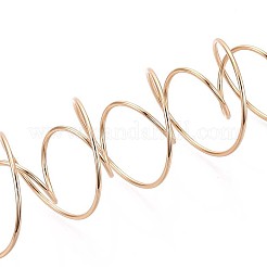 201 Stainless Steel Plant Hangers&nbsp;STAS-N120-02G