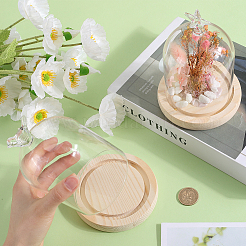 1Pc Glass Dome Cover&nbsp;AJEW-SC0002-61A