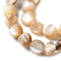 Natural Trochus Shell Beads Strands&nbsp;SHEL-G020-02