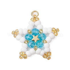 Glass Seed Beaded Star Pendants&nbsp;PALLOY-MZ00541