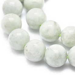 Natural Myanmar Jade/Burmese Jade Beads Strands&nbsp;G-D0001-09-10mm