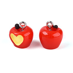 Resin and Enamel Charms&nbsp;RESI-T059-15